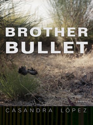 cover image of Brother Bullet